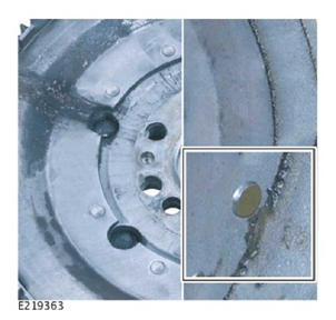 G11996428