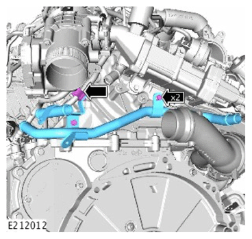G12002655