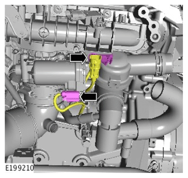 G12004579