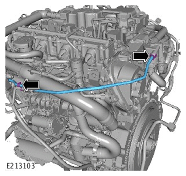G12004873