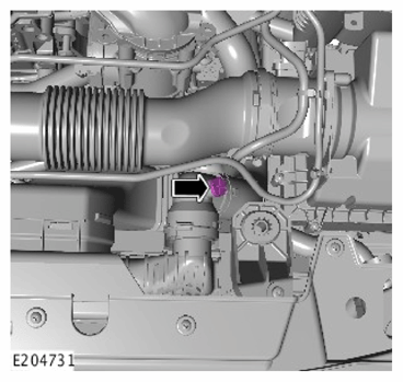 G12005707