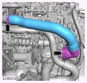 G12005808