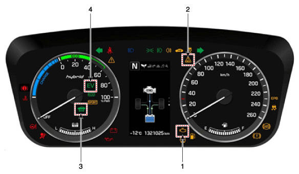 G12059526