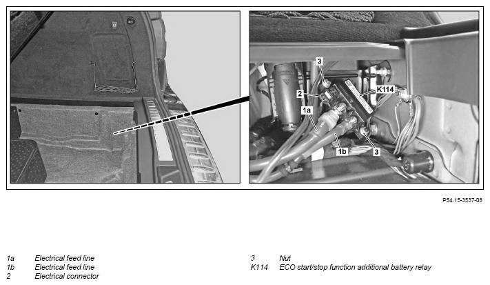 G12079496