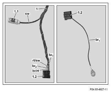 G12079531