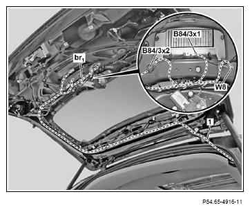 G12079535