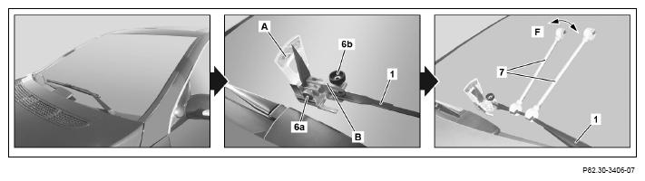 G12081684