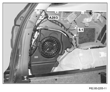 G12081956