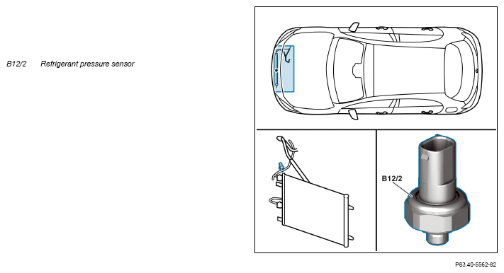 G12082184
