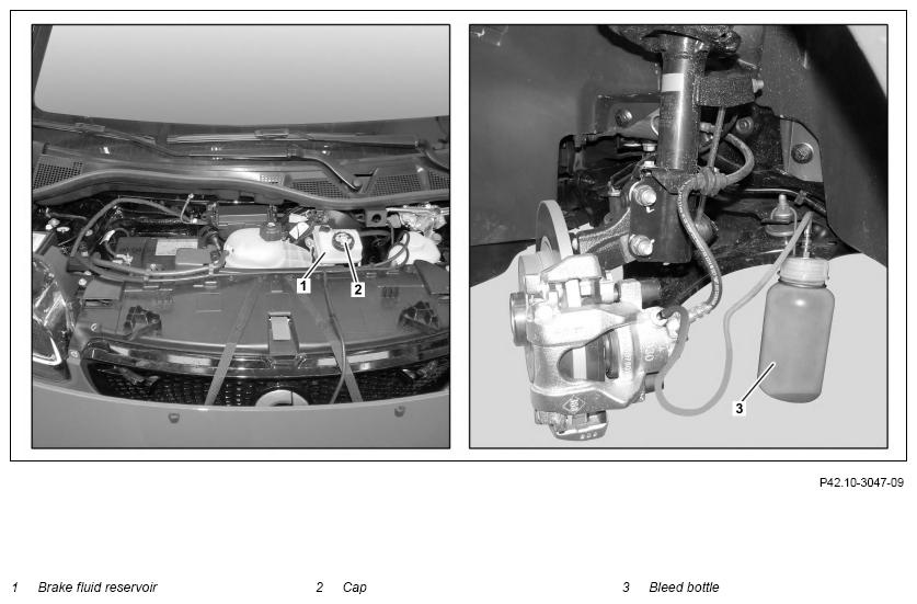 G12096883