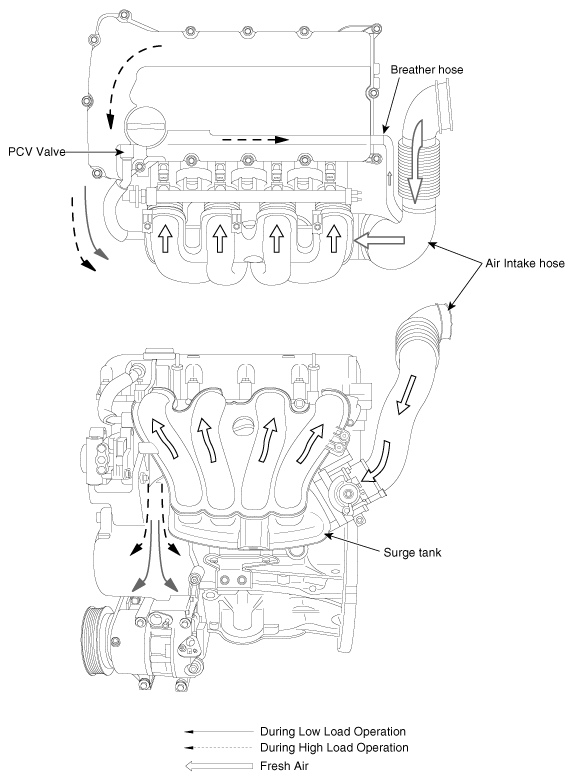 G12145616