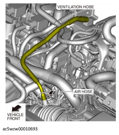 G12184420
