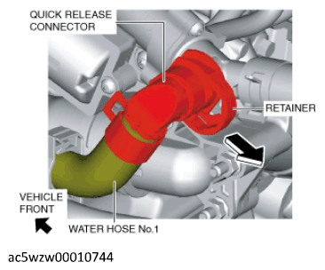 G12189206