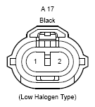 G12194455