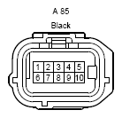 G12194549