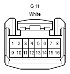 G12195076