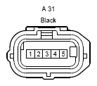 G12195200