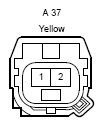 G12195206