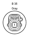 G12195256