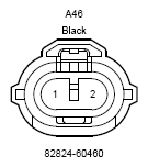 G12217381