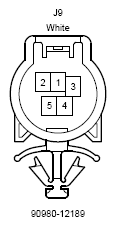 G12217545