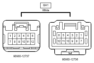 G12217904