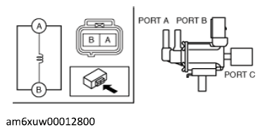 G12229124