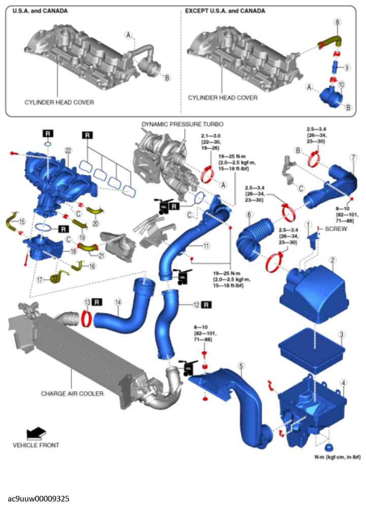 G12244279