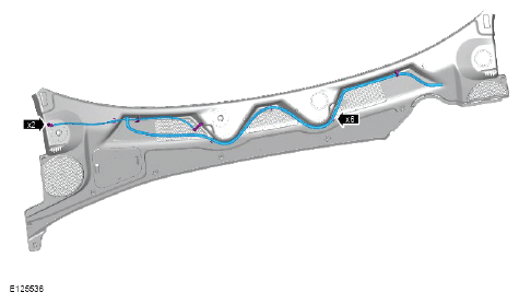 G12532186