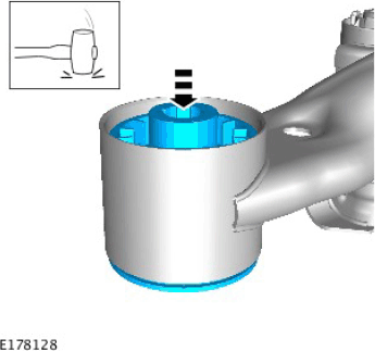 G12538075