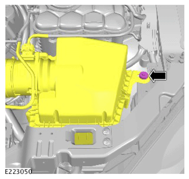 G12546664