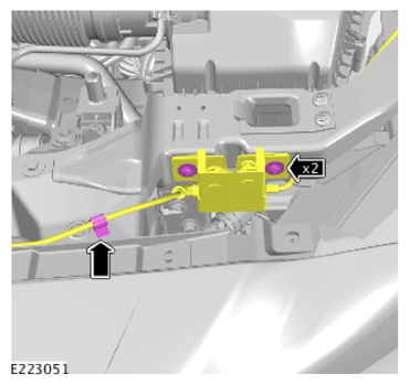 G12546665