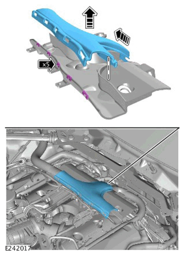 G12561212