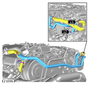 G12561218