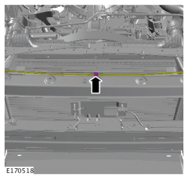 G12563109