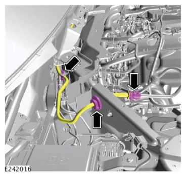 G12563204