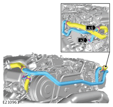 G12563206