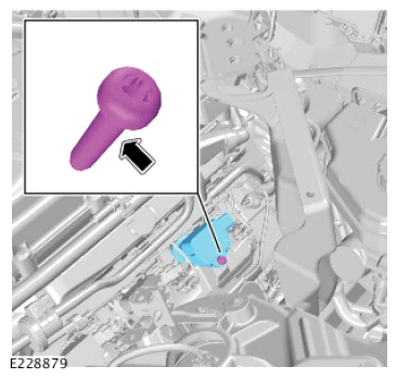 G12563241