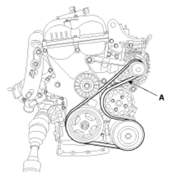 G12596412