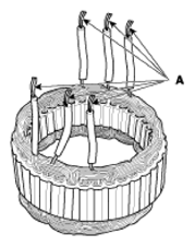 G12596424