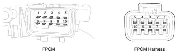 G12596778