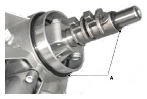G12596905
