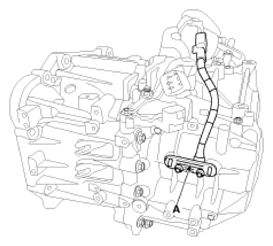 G12596919