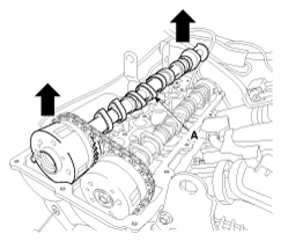 G12608636