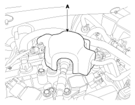 G12611020