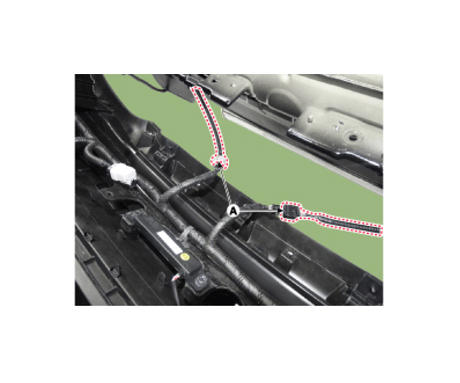 G12614238