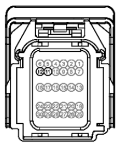 G12765596