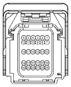 G12765636
