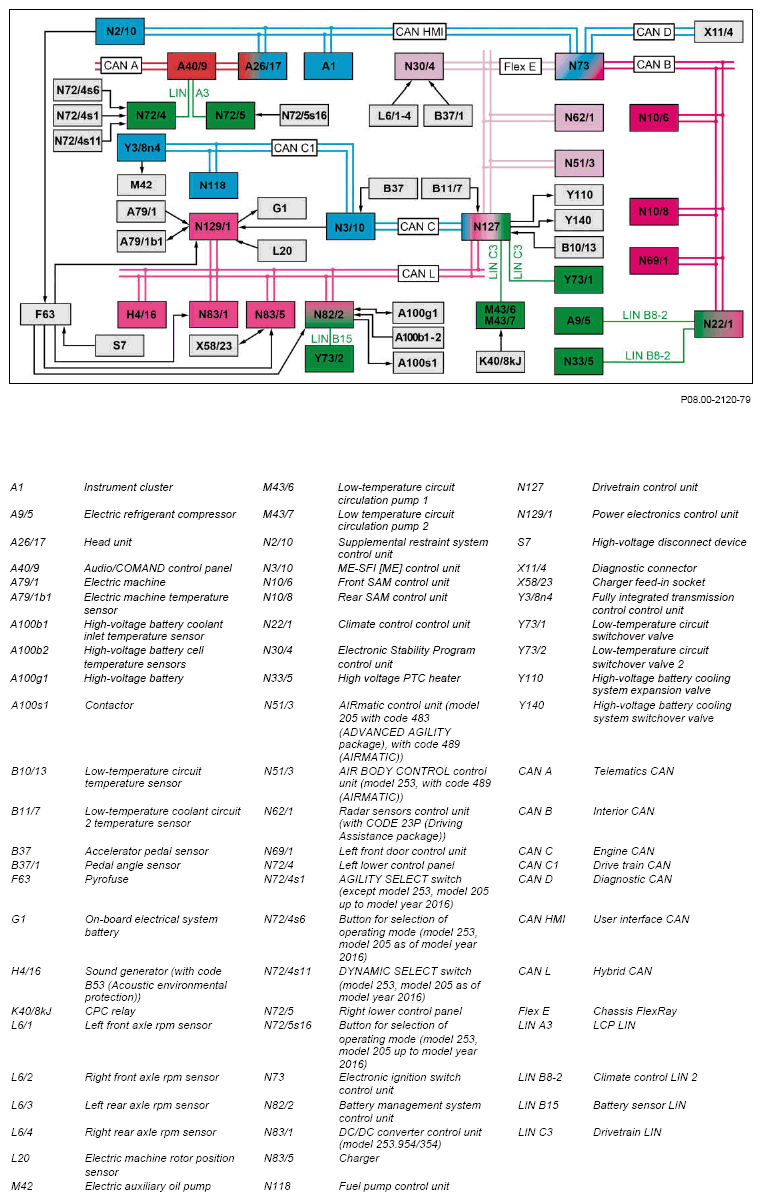 G12816982