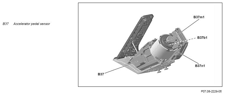 G12817008